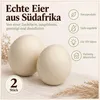 Straußeneier ausgeblasen, Weiß, 2 Stück, 17 cm, Ø 12 cm (Struthio camelus) – Eigenschaften im Überblick Produktbild-Vorschau