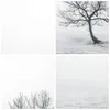 Bilder auf glas - Baum Feld Natur - 40x40cm - Glasbilder - Produktbild-Vorschau 8