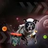 Dog Comets Meteor Shower (Seau avec 6 balles de jeu M Voir les images du produit 7
