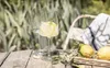 Bicchiere Zwiesel Makineade Fruttato E Fine Sensi Vividi 1 Anteprima dell’immagine prodotto 5