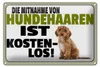 Blechschild Spruch 30x20cm Mitnahme Hundehaaren Produktbild-Vorschau 1