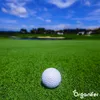 Hnojivo Pro Turf & Lawn – s kontrolovaným uvolňováním (5 kg Náhled obrázku produktu 4