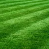 Premium Rasenkalk & Gartenkalk Kalk Düngekalk gegen Moos Produktbild-Vorschau 5