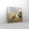 Bild auf Leinwand - Leinwandbild - rotwild natur - 30x30cm Produktbild-Vorschau 4