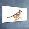 Coloray Bild aus Acryl 120 cm x 60 cm - Wohnzimmer Produktbild-Vorschau 2