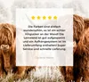MuchoWow® - Leinwandbilder - Durchblick - Schottische Produktbild-Vorschau 8