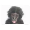 MuchoWow® Mauspad Mousepad Affe - Tiere - Natur - Produktbild-Vorschau 1