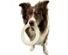 KIWI WALKER TPR - 502, Hund, Ring, Grün, Gummi, 18 cm Produktbild-Vorschau 2