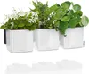 LECHUZA Green Wall Home Kit Glossy, Sadzarka w doniczce, Do Podgląd zdjęcia produktu 17