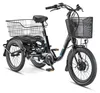 Telefunken TC550 E-Dreirad Elektrofahrrad / Pedelec mit Produktbild-Vorschau 1