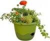 A green planter filled with various flowering plants and greenery, set against a white background. Podgląd zdjęcia produktu