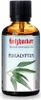 Olio per sauna HolzHacker Eucalipto 60 ml Anteprima dell’immagine prodotto 1