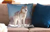 MuchoWow® Zierkissen Sofakissen Wohnzimmer Dekokissen 60x60 Produktbild-Vorschau 2