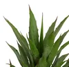 Pianta d'agave artificiale, in vaso di plastica, altezza 61 Anteprima dell’immagine prodotto 4