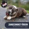 Supravit ChewDeer Hundespielzeug für starke Kauer Produktbild-Vorschau 6