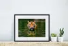 MuchoWow® MuchoWow® Gerahmtes Poster Tiger im Wasser 40x30 Produktbild-Vorschau 6