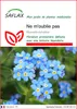 SAFLAX  - Ne m'oublie pas - 150 graines - Myosotis Voir les images du produit 1