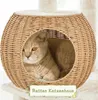 A cat is resting inside a woven cat house, which is part of a larger cat tree. Podgląd zdjęcia produktu