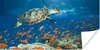 MuchoWow® Poster Korallenriff mit Schildkröte 120x60 cm - Produktbild-Vorschau 1