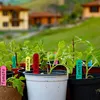 INF Wasserbeständige Pflanzenetiketten / Pflanzenschilder Produktbild-Vorschau 4