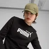 Puma Ess Metal Kappe Grün  Mann Grün One Size Produktbild-Vorschau 7
