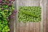 MuchoWow® Produktbild-Vorschau 5