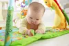 Fisher-Price Rainforest Erlebnisdecke mit Musik und Produktbild-Vorschau 13