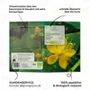 Johanniskraut Samen - Heilkräuter Saatgut aus biologischem Produktbild-Vorschau 5