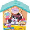 Moose Toys My Puppy's Home Mini, Chlapec / dievča, 5 rok / Náhľad obrázku produktu 7