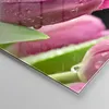 Bilder auf glas - Tulpe Blumen Tau - 100x70cm - Glasbilder Produktbild-Vorschau 5