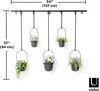 A wall-mounted plant holder with five hanging pots, each containing a plant. Dimensions are indicated by measurement lines and text. Produktbild-Vorschau
