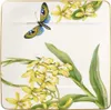 Villeroy & Boch Amazonia Frühstücksteller 23 x 23 cm Produktbild-Vorschau 1