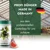 Meine Orangerie Feigenbaum Dünger [1kg] - Premium Dünger Produktbild-Vorschau 4