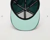 Nike Jordan Pro Cap FV5296-366 Grün – Snapback Kappe M/L | Produktbild-Vorschau 4