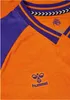 Trikot Hummel 231407-4424 für Herren Produktbild-Vorschau 3