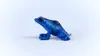 Wild Life: Blauwe pijlpaddensoort Productafbeelding-voorbeeld 4