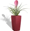 Sázecí květináč LECHUZA CUBICO Premium 22 Scarlet Red Náhled obrázku produktu 27