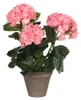 Mica Decorations Hortensias Plante artificielle dans un pot Voir les images du produit 2