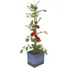 Gusta Garden TOM TOMATO Standard-Pflanzgefäß mit Produktbild-Vorschau 9