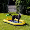 Piscina per cani Beeztees Palmy gialla Anteprima dell’immagine prodotto 8