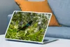 MuchoWow® Laptop Aufkleber Sticker Cover Vogel zwischen den Produktbild-Vorschau 4