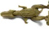 Toi-Toys 31510A - World of Dinosaurs - Dino T-Rex (laufend, Produktbild-Vorschau 14