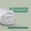 Steppbett Bamboo 200x200 cm, Bettdecke mit Bambusfasern Produktbild-Vorschau 5