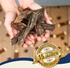 5 kg Lyra Pet® Rinderdörrfleisch in 30 L Tonne Produktbild-Vorschau 5