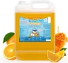 Belissia Slush Eis Sirup 5L Konzentrat | Orange Geschmack | Produktbild-Vorschau 1
