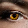 Zoelibat Wochen-Kontaktlinsen Ork Fantasy Look Kräftiger Produktbild-Vorschau 4