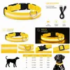 LED Hundehalsband USB aufladbar reflektierend Produktbild-Vorschau 2
