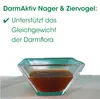 GutActive per uccelli e roditori 50 ml Anteprima dell’immagine prodotto 3