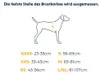 Ruffwear 3072-042S, Hund, Zugfreier Gurt, S, Grau, Nylon, Produktbild-Vorschau 7