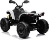 Can-am ATV Quad Kinderfahrzeug Elektrofahrzeug Kinderquad Produktbild-Vorschau 3